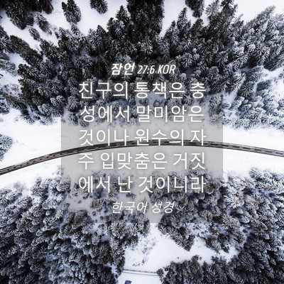 Picture 04 - 잠언 27:6 KOR - 친구의 통책은 충성에서 말미암은 - Bible Verse Picture