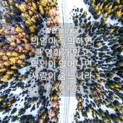 Picture 04 - 잠언 28:12 KOR - 의인이 득의하면 큰 영화가 있고 - Bible Verse Picture