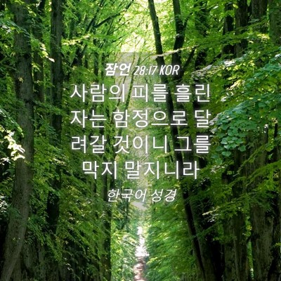 Picture 04 - 잠언 28:17 KOR - 사람의 피를 흘린 자는 함정으로 - Bible Verse Picture