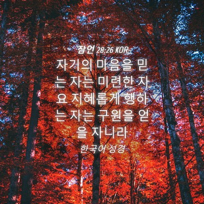 Picture 04 - 잠언 28:26 KOR - 자기의 마음을 믿는 자는 미련한 - Bible Verse Picture