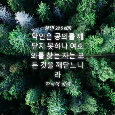 Picture 04 - 잠언 28:5 KOR - 악인은 공의를 깨닫지 못하나 - Bible Verse Picture