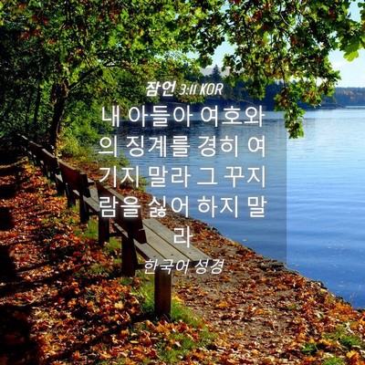 Picture 04 - 잠언 3:11 KOR - 내 아들아 여호와의 징계를 경히 - Bible Verse Picture
