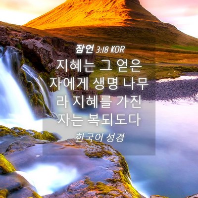 Picture 04 - 잠언 3:18 KOR - 지혜는 그 얻은 자에게 생명 나무라 - Bible Verse Picture