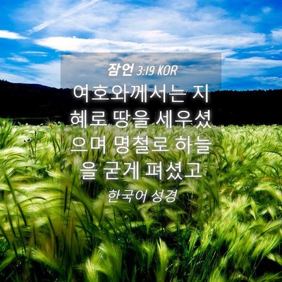 Picture 04 - 잠언 3:19 KOR - 여호와께서는 지혜로 땅을 - Bible Verse Picture