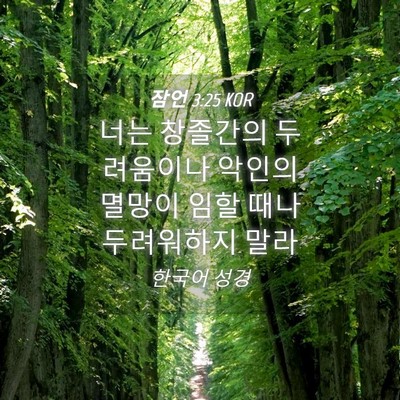 Picture 04 - 잠언 3:25 KOR - 너는 창졸간의 두려움이나 악인의 - Bible Verse Picture