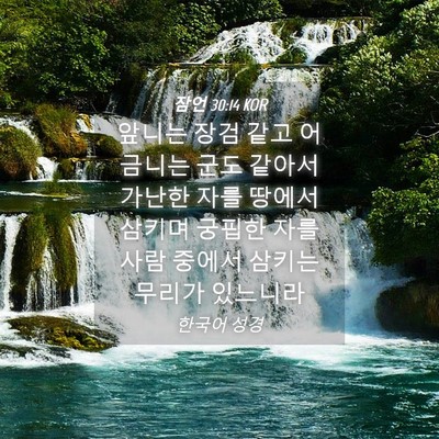Picture 04 - 잠언 30:14 KOR - 앞니는 장검 같고 어금니는 군도 - Bible Verse Picture