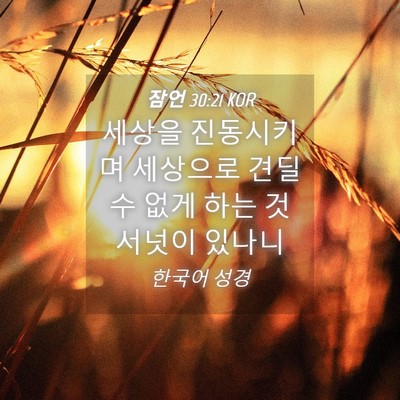 Picture 04 - 잠언 30:21 KOR - 세상을 진동시키며 세상으로 견딜 수 - Bible Verse Picture
