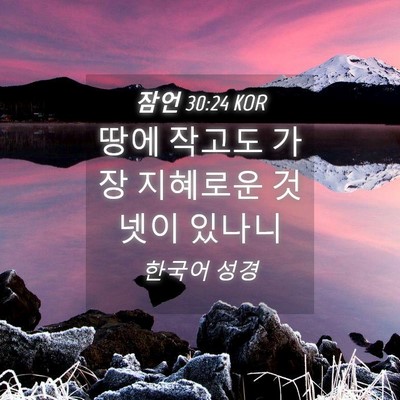 Picture 04 - 잠언 30:24 KOR - 땅에 작고도 가장 지혜로운 것 넷이 - Bible Verse Picture