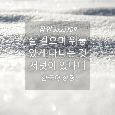 Picture 04 - 잠언 30:29 KOR - 잘 걸으며 위풍 있게 다니는 것 - Bible Verse Picture
