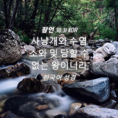 Picture 04 - 잠언 30:31 KOR - 사냥개와 수염소와 및 당할 수 없는 - Bible Verse Picture