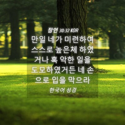 Picture 04 - 잠언 30:32 KOR - 만일 네가 미련하여 스스로 높은체 - Bible Verse Picture