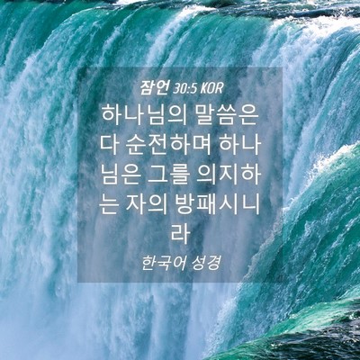 Picture 04 - 잠언 30:5 KOR - 하나님의 말씀은 다 순전하며 - Bible Verse Picture