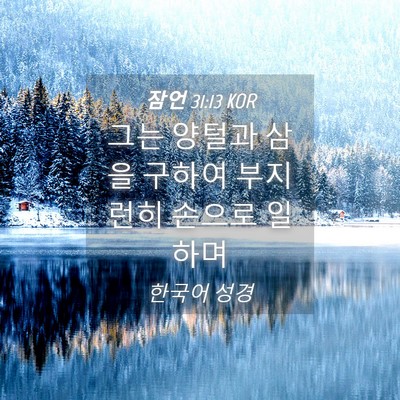 Picture 04 - 잠언 31:13 KOR - 그는 양털과 삼을 구하여 부지런히 - Bible Verse Picture