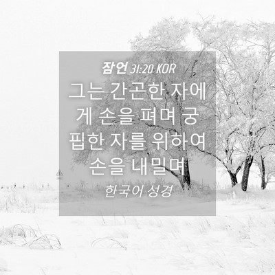 Picture 04 - 잠언 31:20 KOR - 그는 간곤한 자에게 손을 펴며 - Bible Verse Picture