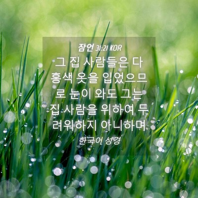 Picture 04 - 잠언 31:21 KOR - 그 집 사람들은 다 홍색 옷을 - Bible Verse Picture