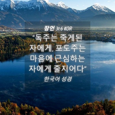 Picture 04 - 잠언 31:6 KOR - 