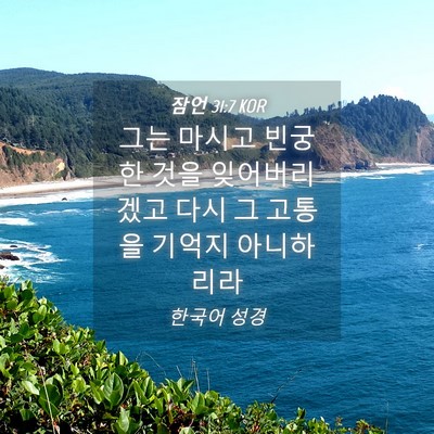 Picture 04 - 잠언 31:7 KOR - 그는 마시고 빈궁한 것을 - Bible Verse Picture