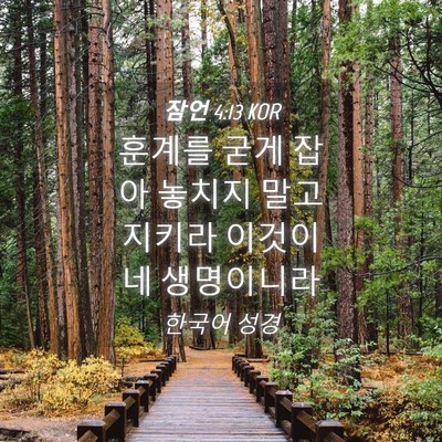 Picture 04 - 잠언 4:13 KOR - 훈계를 굳게 잡아 놓치지 말고 - Bible Verse Picture