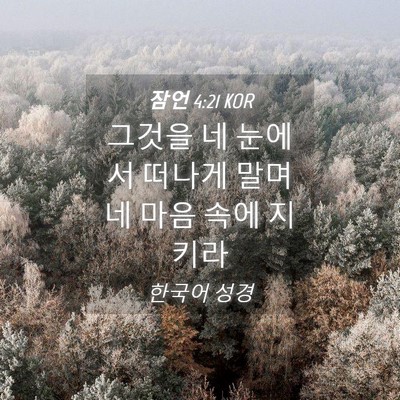 Picture 04 - 잠언 4:21 KOR - 그것을 네 눈에서 떠나게 말며 네 - Bible Verse Picture