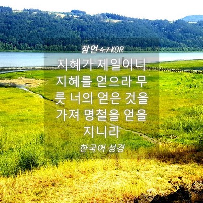 Picture 04 - 잠언 4:7 KOR - 지혜가 제일이니 지혜를 얻으라 무릇 - Bible Verse Picture