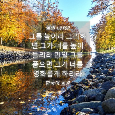 Picture 04 - 잠언 4:8 KOR - 그를 높이라 그리하면 그가 너를 - Bible Verse Picture