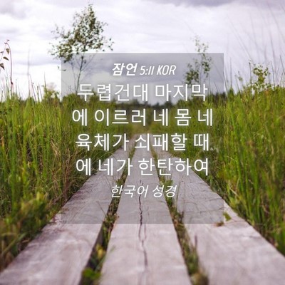 Picture 04 - 잠언 5:11 KOR - 두렵건대 마지막에 이르러 네 몸 네 - Bible Verse Picture