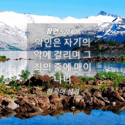 Picture 04 - 잠언 5:22 KOR - 악인은 자기의 악에 걸리며 그 죄의 - Bible Verse Picture