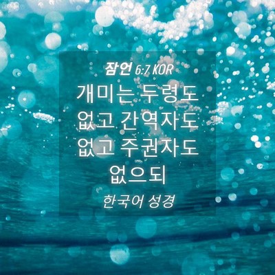 Picture 04 - 잠언 6:7 KOR - 개미는 두령도 없고 간역자도 없고 - Bible Verse Picture