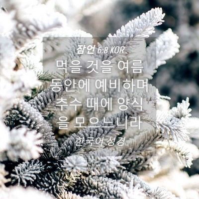 Picture 04 - 잠언 6:8 KOR - 먹을 것을 여름 동안에 예비하며 - Bible Verse Picture