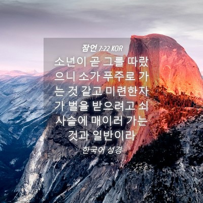 Picture 04 - 잠언 7:22 KOR - 소년이 곧 그를 따랐으니 소가 - Bible Verse Picture