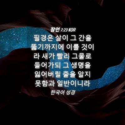 Picture 04 - 잠언 7:23 KOR - 필경은 살이 그 간을 뚫기까지에 - Bible Verse Picture