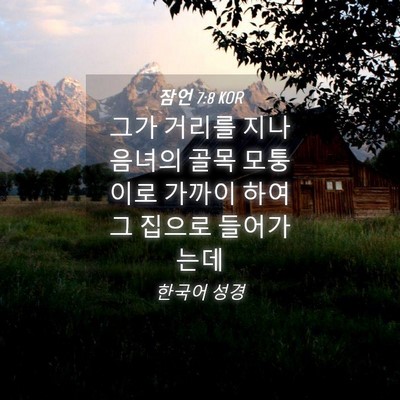Picture 04 - 잠언 7:8 KOR - 그가 거리를 지나 음녀의 골목 - Bible Verse Picture
