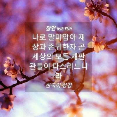 Picture 04 - 잠언 8:16 KOR - 나로 말미암아 재상과 존귀한자 곧 - Bible Verse Picture