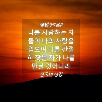 Picture 04 - 잠언 8:17 KOR - 나를 사랑하는 자들이 나의 사랑을 - Bible Verse Picture