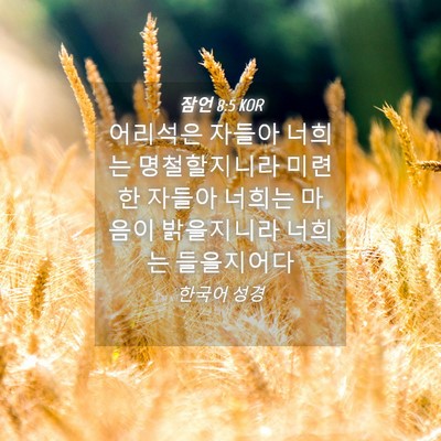 Picture 04 - 잠언 8:5 KOR - 어리석은 자들아 너희는 - Bible Verse Picture