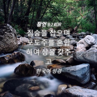Picture 04 - 잠언 9:2 KOR - 짐승을 잡으며 포도주를 혼합하여 - Bible Verse Picture