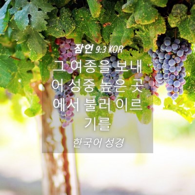Picture 04 - 잠언 9:3 KOR - 그 여종을 보내어 성중 높은 곳에서 - Bible Verse Picture