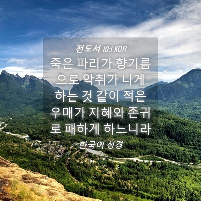Picture 04 - 전도서 10:1 KOR - 죽은 파리가 향기름으로 악취가 나게 - Bible Verse Picture