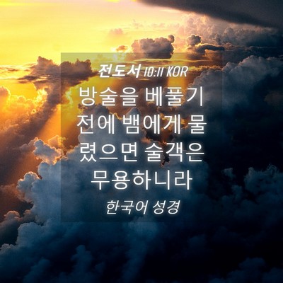 Picture 04 - 전도서 10:11 KOR - 방술을 베풀기 전에 뱀에게 물렸으면 - Bible Verse Picture