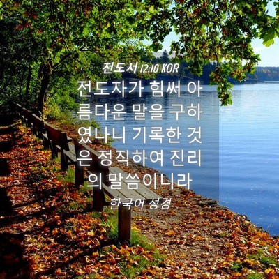 Picture 04 - 전도서 12:10 KOR - 전도자가 힘써 아름다운 말을 - Bible Verse Picture