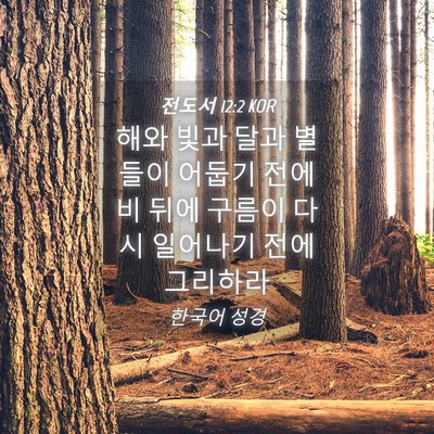 Picture 04 - 전도서 12:2 KOR - 해와 빛과 달과 별들이 어둡기 전에 - Bible Verse Picture
