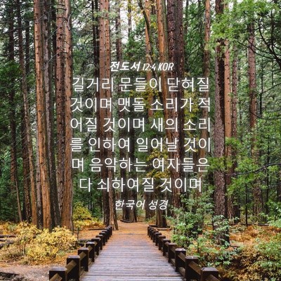 Picture 04 - 전도서 12:4 KOR - 길거리 문들이 닫혀질 것이며 맷돌 - Bible Verse Picture