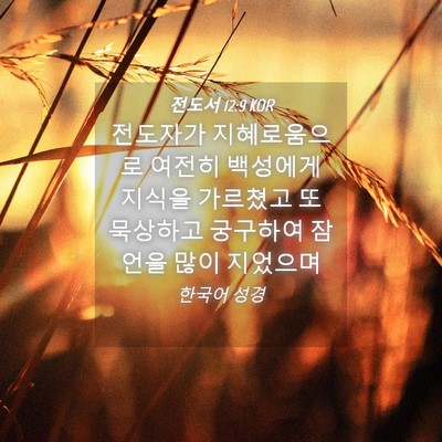 Picture 04 - 전도서 12:9 KOR - 전도자가 지혜로움으로 여전히 - Bible Verse Picture