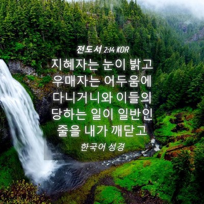 Picture 04 - 전도서 2:14 KOR - 지혜자는 눈이 밝고 우매자는 - Bible Verse Picture