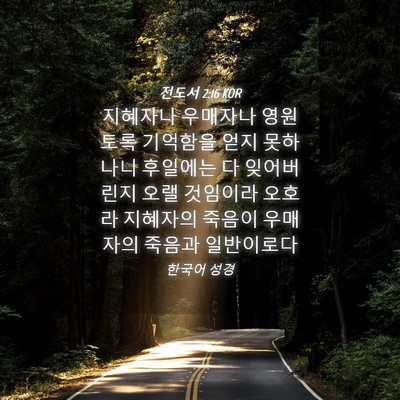 Picture 04 - 전도서 2:16 KOR - 지혜자나 우매자나 영원토록 - Bible Verse Picture