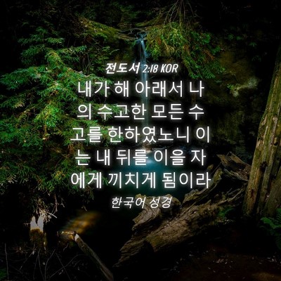 Picture 04 - 전도서 2:18 KOR - 내가 해 아래서 나의 수고한 모든 - Bible Verse Picture