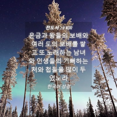 Picture 04 - 전도서 2:8 KOR - 은금과 왕들의 보배와 여러 도의 - Bible Verse Picture