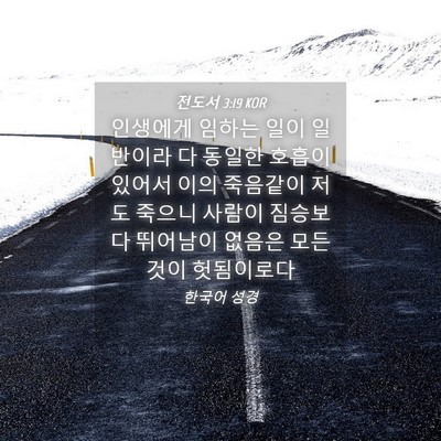 Picture 04 - 전도서 3:19 KOR - 인생에게 임하는 일이 일반이라 다 - Bible Verse Picture