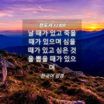 Picture 04 - 전도서 3:2 KOR - 날 때가 있고 죽을 때가 있으며 심을 - Bible Verse Picture