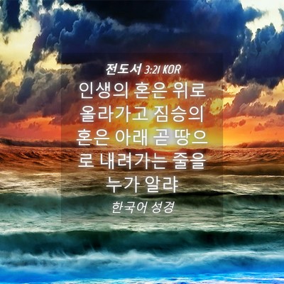 Picture 04 - 전도서 3:21 KOR - 인생의 혼은 위로 올라가고 짐승의 - Bible Verse Picture